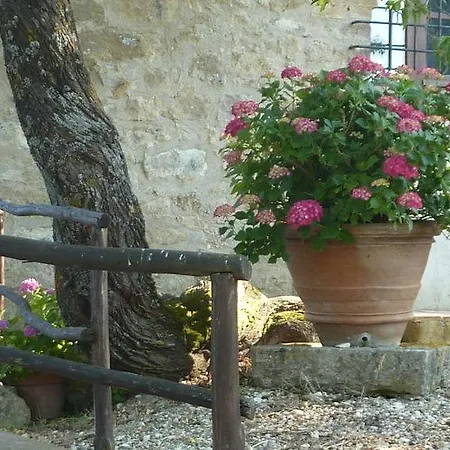 Bellavista Farm stay Radicondoli